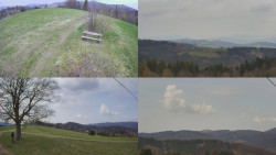 Sdružený snímek Bludný