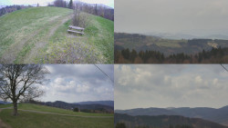 Sdružený snímek Bludný