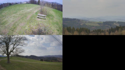 Sdružený snímek Bludný