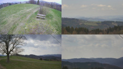 Sdružený snímek Bludný