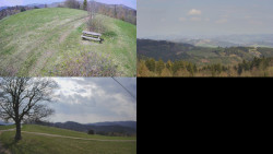 Sdružený snímek Bludný