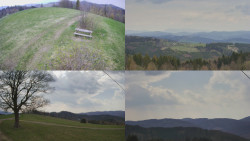 Sdružený snímek Bludný