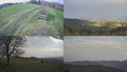 Sdružený snímek Bludný