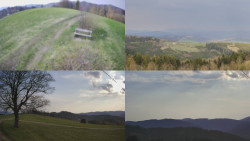 Sdružený snímek Bludný