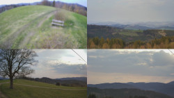 Sdružený snímek Bludný