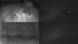 Sdružený snímek Bludný