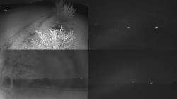 Sdružený snímek Bludný