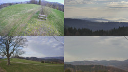 Sdružený snímek Bludný