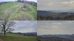 Sdružený snímek Bludný