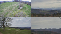 Sdružený snímek Bludný