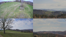 Sdružený snímek Bludný