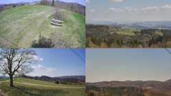 Sdružený snímek Bludný