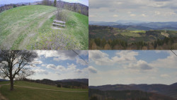 Sdružený snímek Bludný