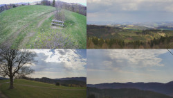 Sdružený snímek Bludný