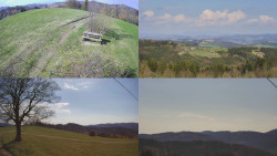 Sdružený snímek Bludný