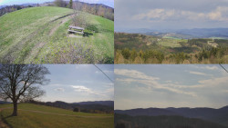 Sdružený snímek Bludný