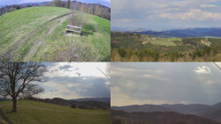 Sdružený snímek Bludný