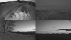 Sdružený snímek Bludný