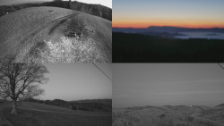 Sdružený snímek Bludný