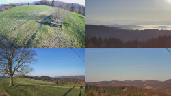 Sdružený snímek Bludný