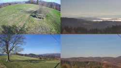 Sdružený snímek Bludný