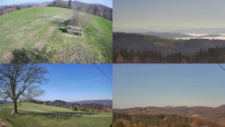 Sdružený snímek Bludný