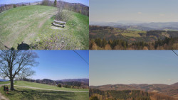 Sdružený snímek Bludný