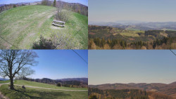 Sdružený snímek Bludný