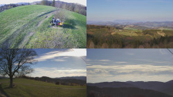 Sdružený snímek Bludný