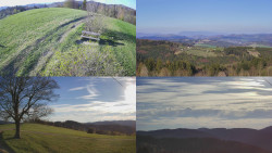 Sdružený snímek Bludný