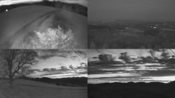 Sdružený snímek Bludný