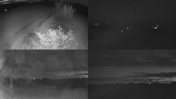 Sdružený snímek Bludný