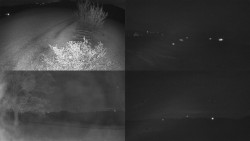 Sdružený snímek Bludný