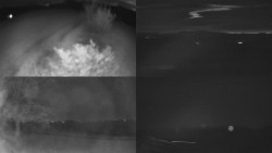 Sdružený snímek Bludný