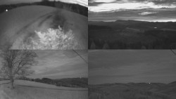 Sdružený snímek Bludný