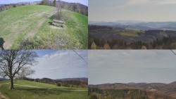 Sdružený snímek Bludný