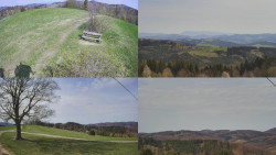 Sdružený snímek Bludný