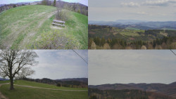 Sdružený snímek Bludný