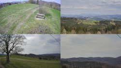 Sdružený snímek Bludný