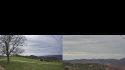 Sdružený snímek Bludný