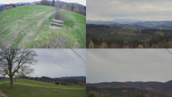 Sdružený snímek Bludný