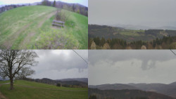 Sdružený snímek Bludný