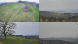 Sdružený snímek Bludný