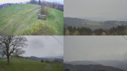 Sdružený snímek Bludný