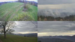 Sdružený snímek Bludný