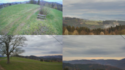 Sdružený snímek Bludný