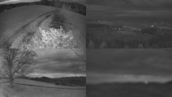 Sdružený snímek Bludný