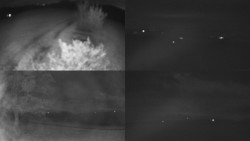 Sdružený snímek Bludný