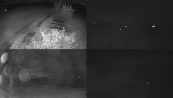 Sdružený snímek Bludný