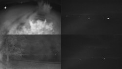 Sdružený snímek Bludný